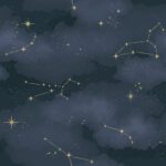 Wp-Dream World 5137-2