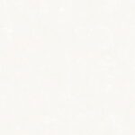 WP-Tara (250GR) ARI1010